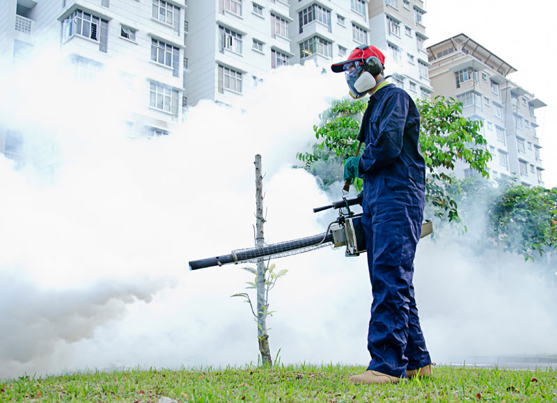 PEST CONTROL